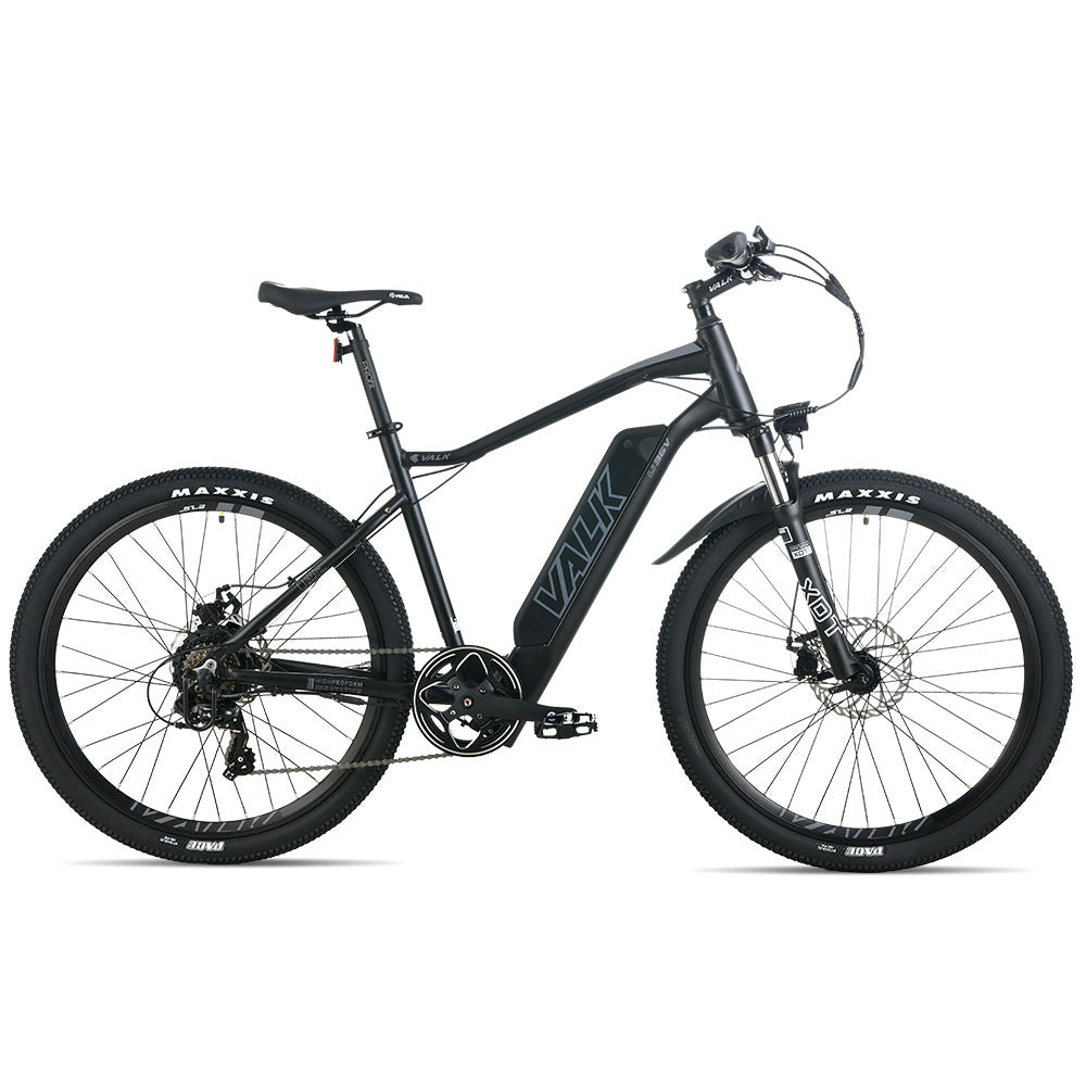Electric Bikes